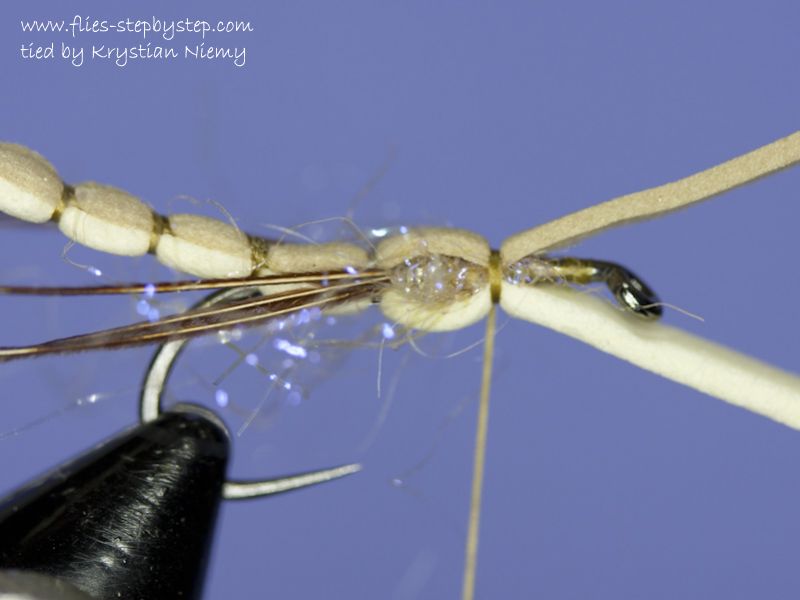 Daddy Long Legs (Crane fly) pattern for lake stillwater fishing How